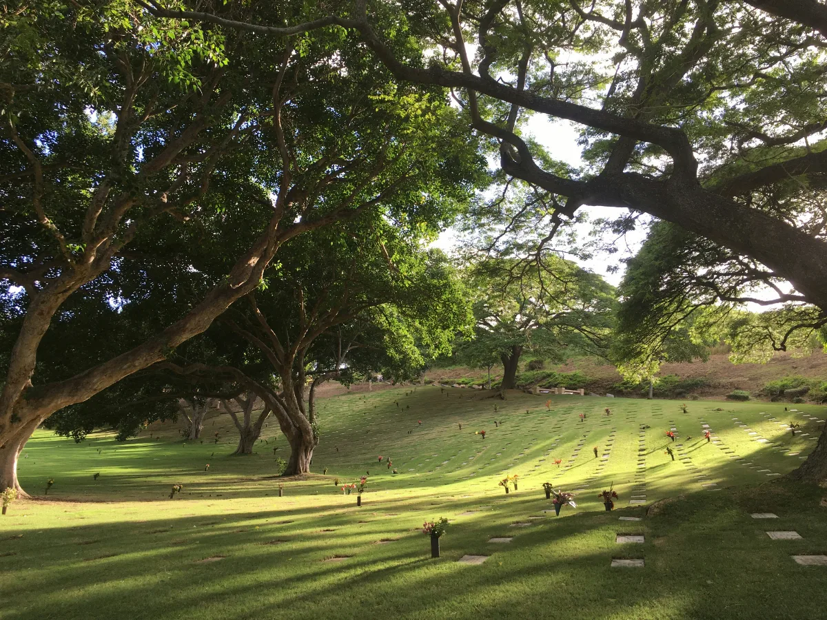 Late afternoon light across a quiet memorial lawn, flat markers set in mown grass under old spreading trees.